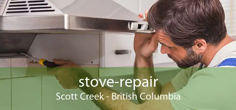 stove-repair Scott Creek - British Columbia
