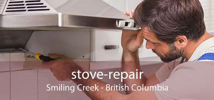 stove-repair Smiling Creek - British Columbia