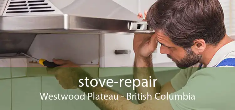 stove-repair Westwood Plateau - British Columbia
