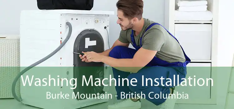 Washing Machine Installation Burke Mountain - British Columbia