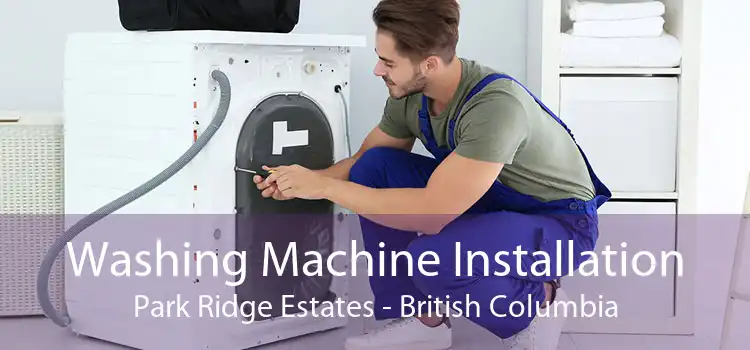 Washing Machine Installation Park Ridge Estates - British Columbia