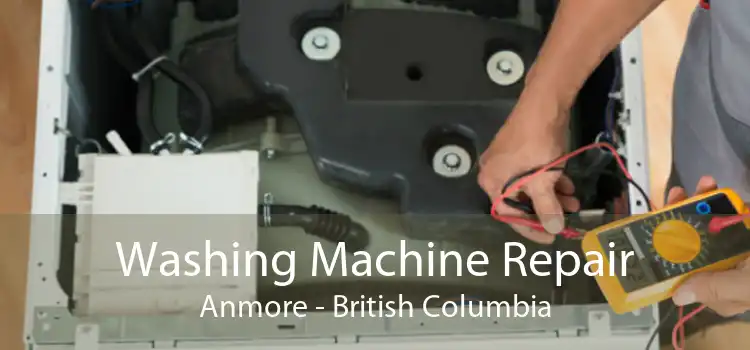 Washing Machine Repair Anmore - British Columbia