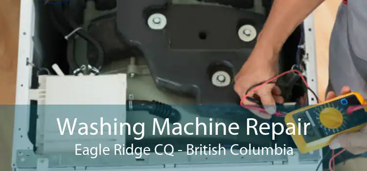 Washing Machine Repair Eagle Ridge CQ - British Columbia