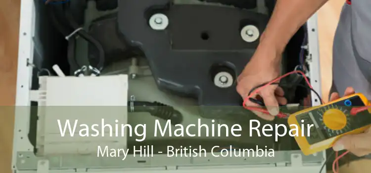 Washing Machine Repair Mary Hill - British Columbia