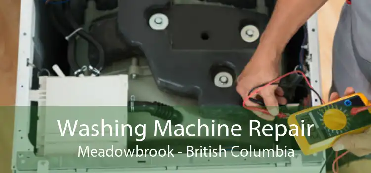Washing Machine Repair Meadowbrook - British Columbia