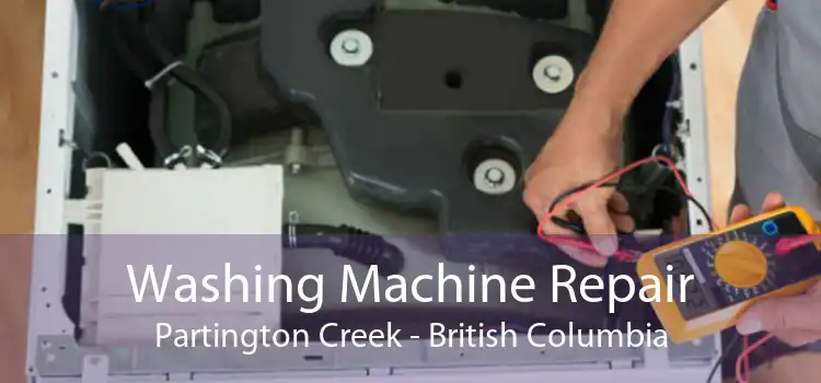 Washing Machine Repair Partington Creek - British Columbia