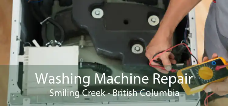 Washing Machine Repair Smiling Creek - British Columbia