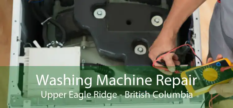 Washing Machine Repair Upper Eagle Ridge - British Columbia