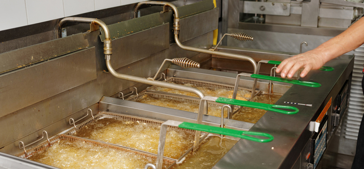 Commercial Fryer Repair in Coquitlam 