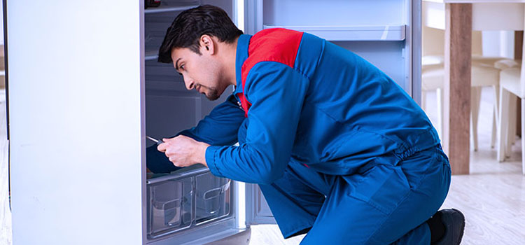 Frigidaire Freezer Repair Services in Coquitlam 